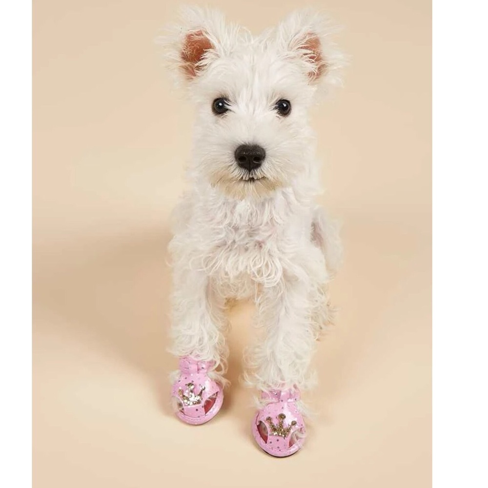 4pc Crown Pattern Pet Shoes 🐕